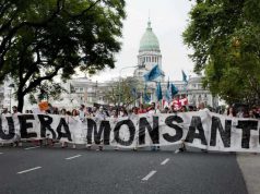 Monsanto, culpable de ecocidio