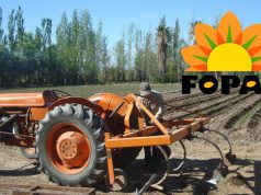 «Alimentos Cooperativos»