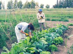 Peligra el programa Cambio Rural