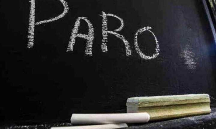 Paro docente