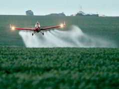Fumigaron una escuela con agrotóxicos