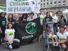 «Confiamos en que Alberto tenga a la marihuana terapéutica en agenda»