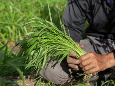 Dirigente de la Sociedad Rural: «El campo se siente amenazado»