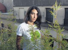 Mamá Cultiva: «La puerta a otras drogas es el dealer»