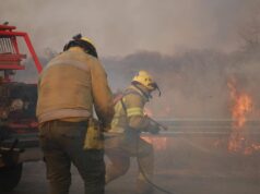 Cristian Schneider: «Necesitamos políticas en los territorios»