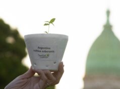 Gabriela Cancellaro: «La legalización del autocultivo nos da tranquilidad»