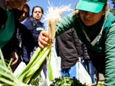 Carolina Rodríguez: «Nos enorgullece y nos está curando el alma»