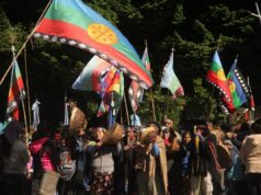 Ñushpi Quilla: «Suárez estigmatiza al pueblo mapuche»