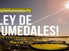 Caruso: «El lobby operó muy fuerte contra la ley»